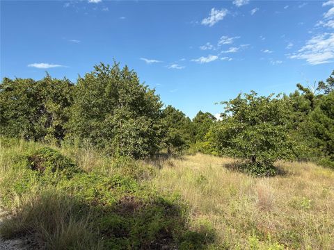 Photo of TBD Kimo CT, Bastrop, TX 78602 (MLS # 7819517)