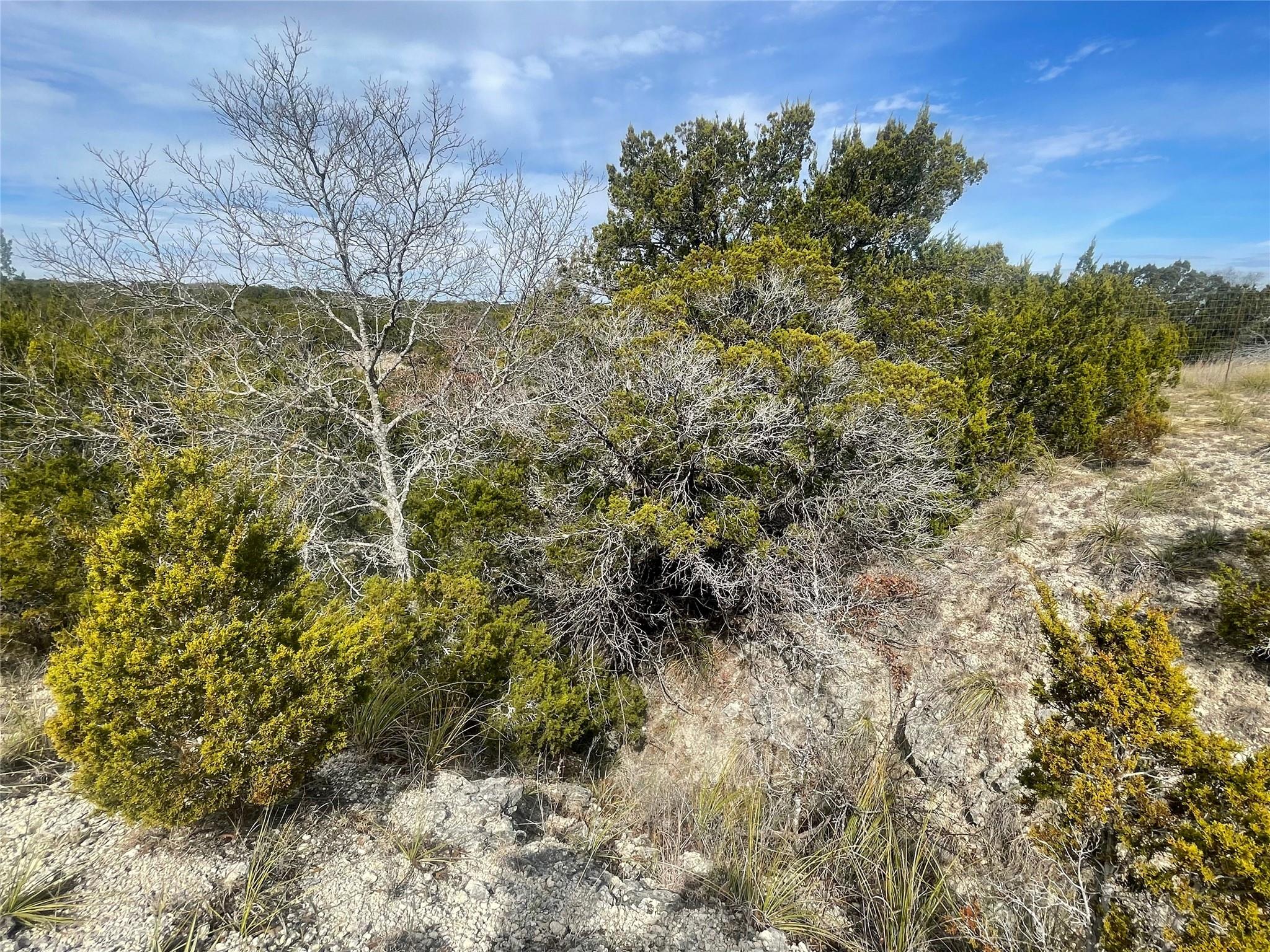 Tract 81 Private RD 3442N