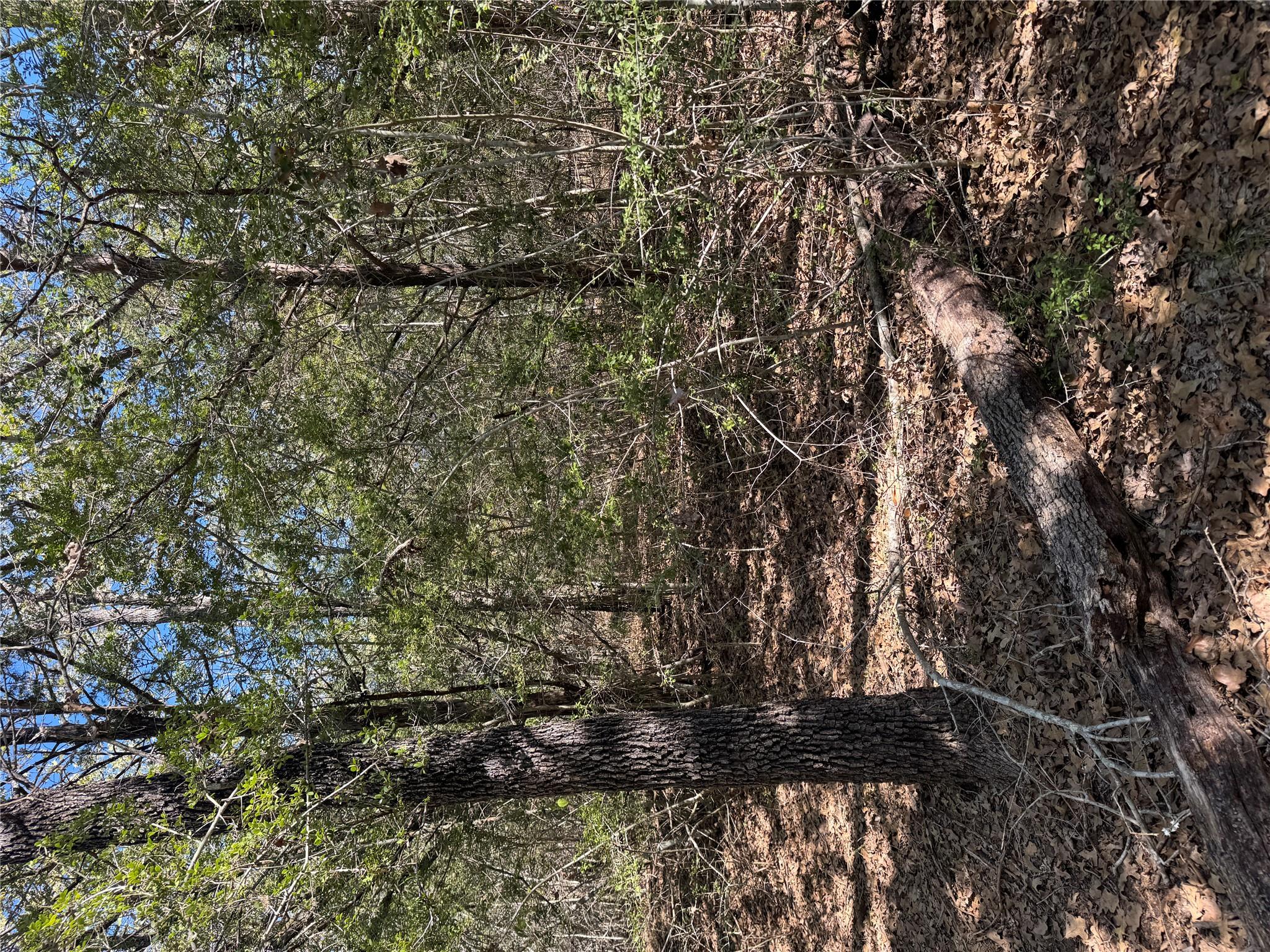 Lot 195 Kaelepulu DR