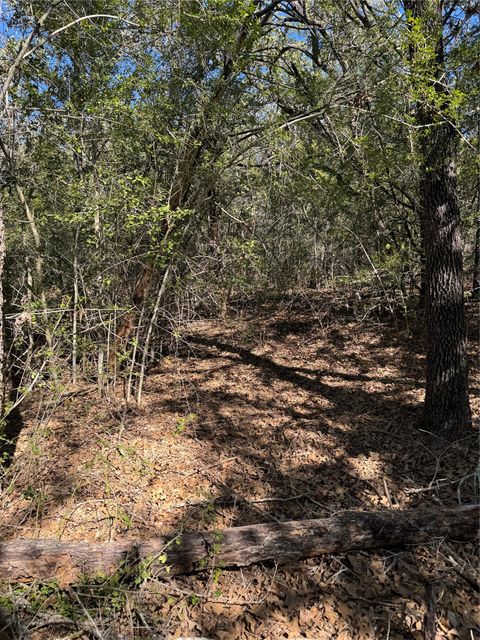 Lot 195 Kaelepulu DR Bastrop TX 78602