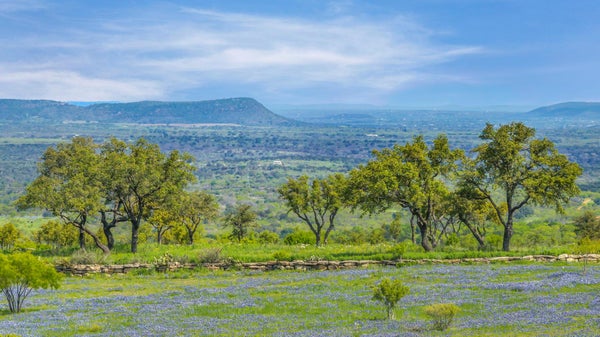 3530 RR 3347, ROUND MOUNTAIN, TX 78663 - Image fc554c1ec4073e35dc04945dbfdc5c2d/1742596397
