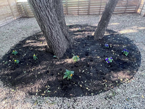 Tiny photo for 2604 Oaklawn Ave #2, Austin, TX 78722 (MLS # 5616615)