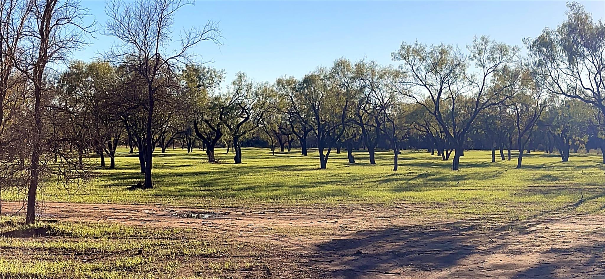 6417 County Road 120