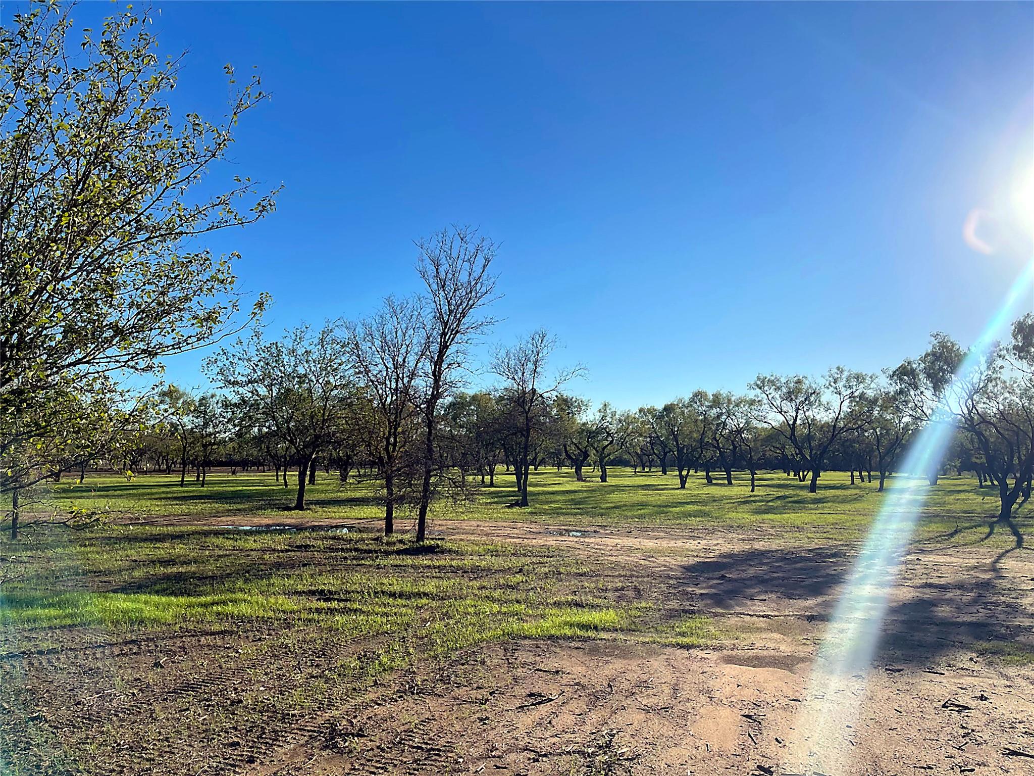 6417 County Road 120