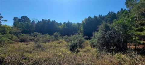 Photo of TBD Alele DR, Bastrop, TX 78602 (MLS # 7283262)