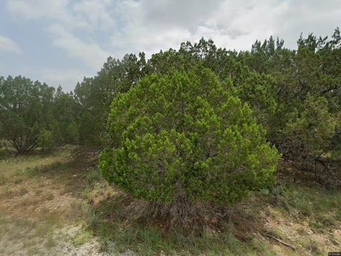 Photo of 2709 CUSTER CV, Lago Vista, TX 78645 (MLS # 5035674)