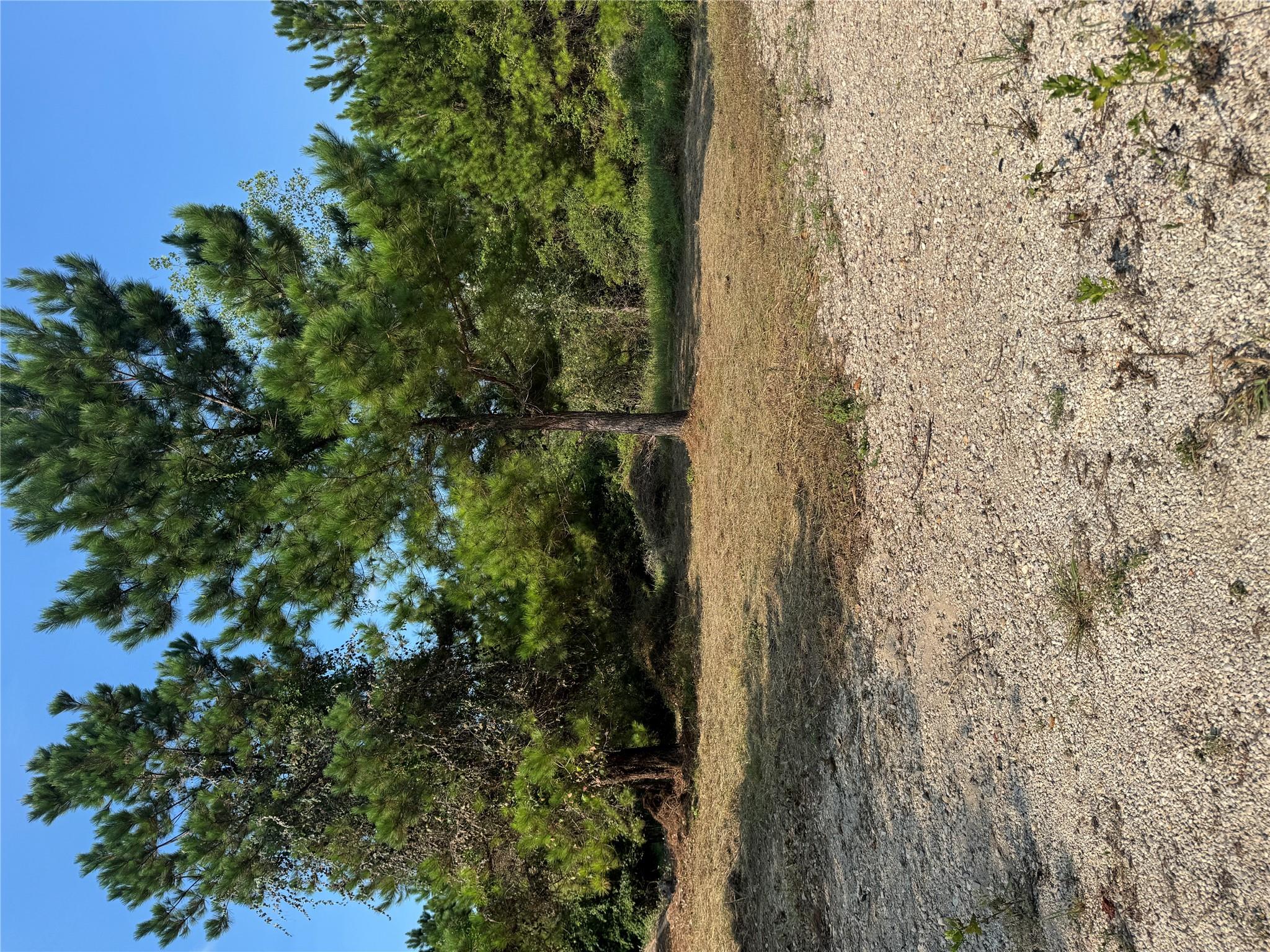 131 Nakalele LN