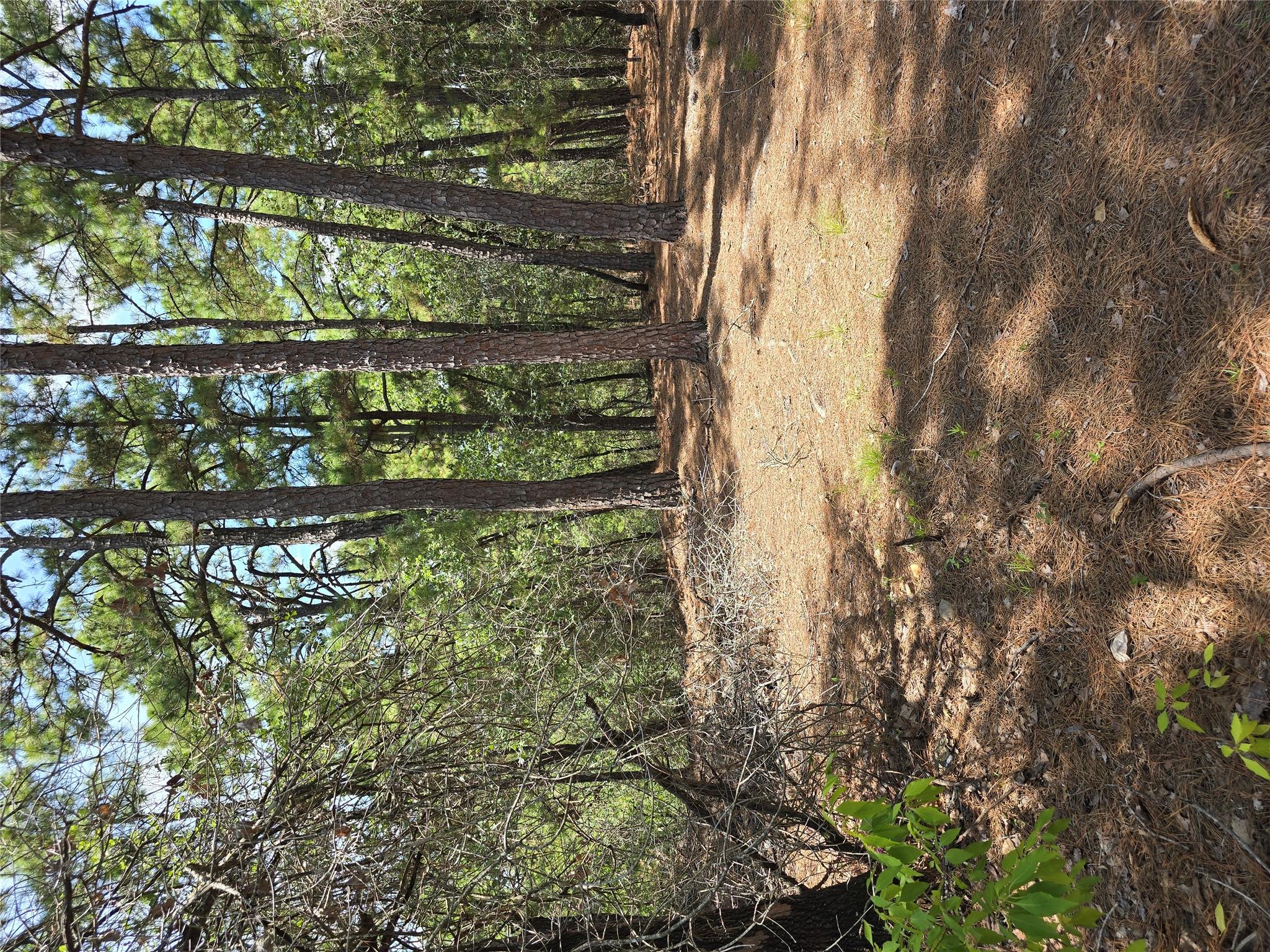 LOT 136 Akaloa DR