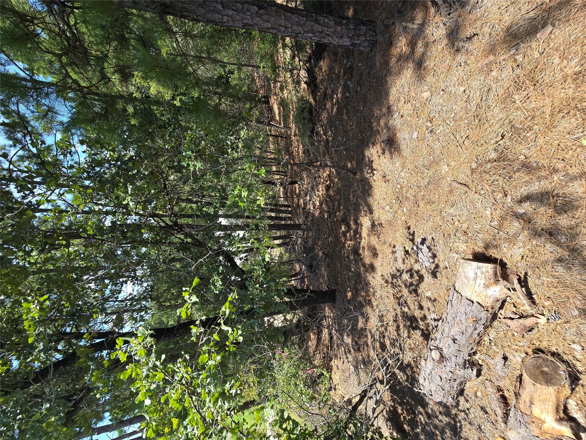 LOT 136 Akaloa DR