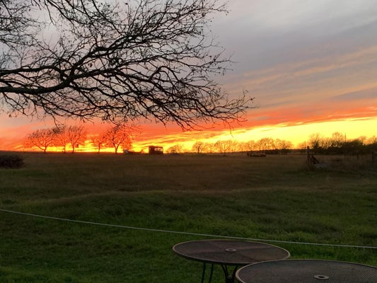 700 COUNTY ROAD 330, GRANGER, TX 76530 - Image fd8f5f62bb5bc64dec8c06cbd166f07e/4268135831