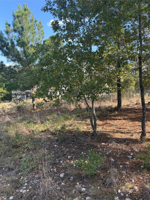 Photo of Lot 702 Oahu CT, Bastrop, TX 78602 (MLS # 5755151)