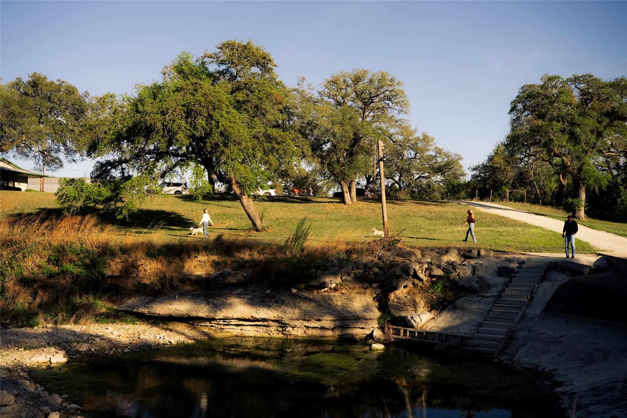 157 Chick Ranch LOOP