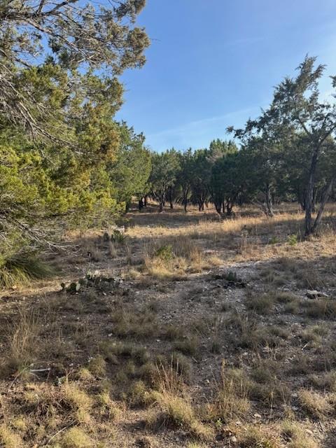 20003 Continental CV