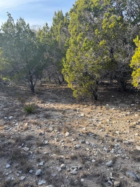 20003 Continental CV