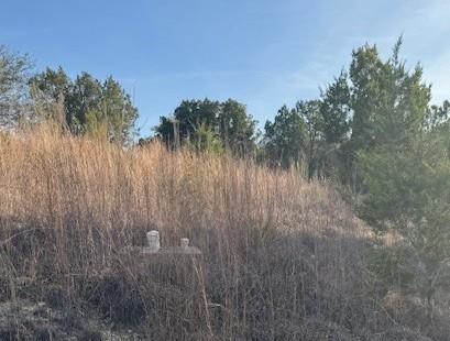 20003 Continental CV