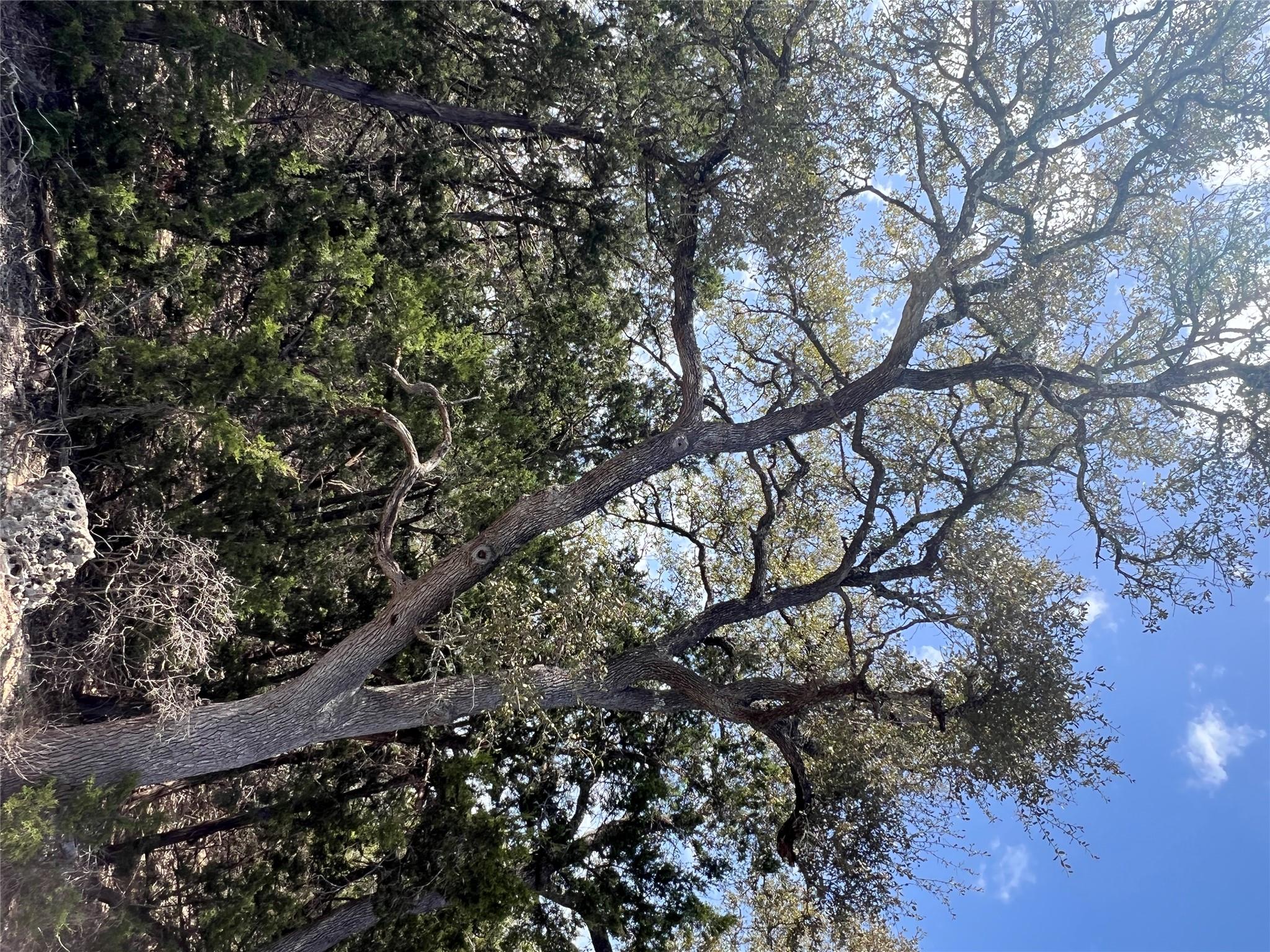 1425 Longhorn Trl RD