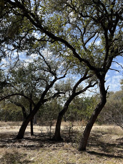 1425 Longhorn Trl RD Wimberley TX 78676