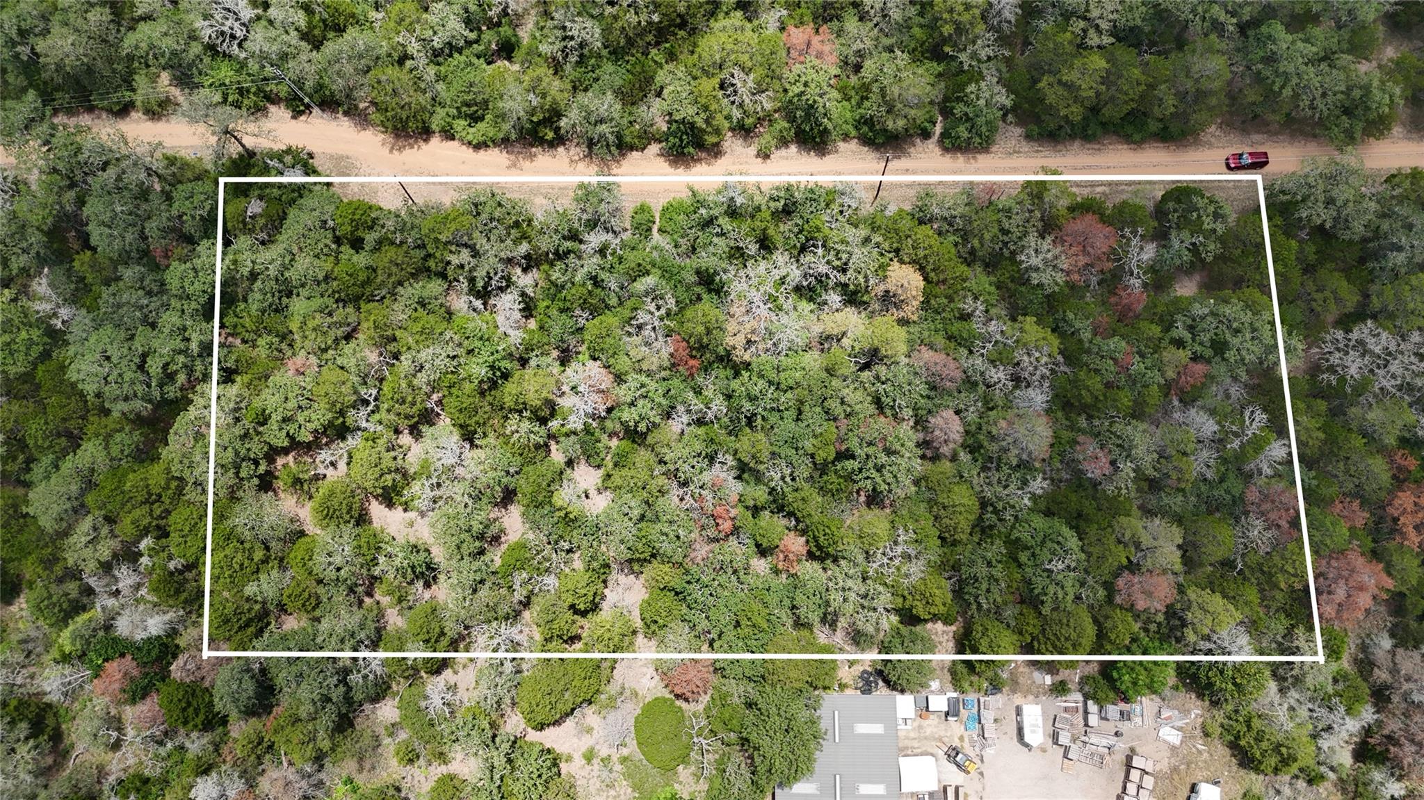 TBD Red Fox LN