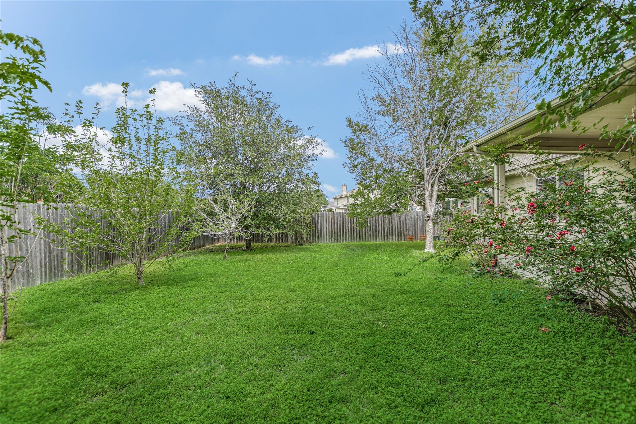 319 Lone Star BLVD