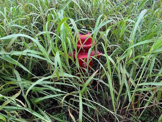 TBD County Rd., Lot 20-C RD