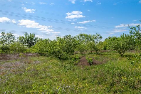 Tiny photo for 14325 S Turnersville RD, Buda, TX 78610 (MLS # 6563288)