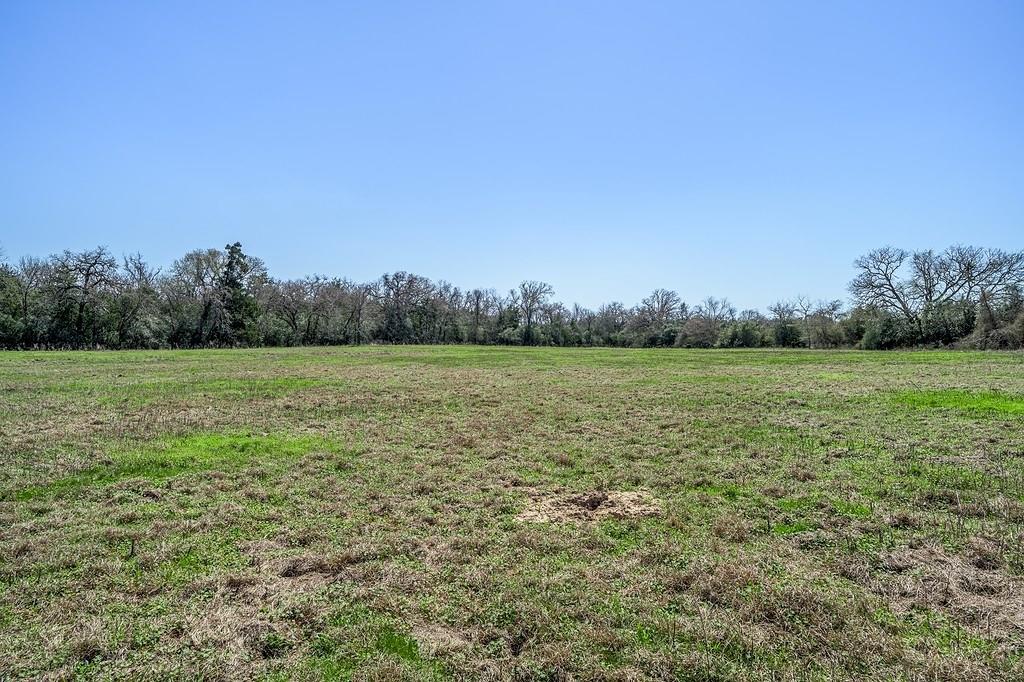 311 Lot 5) Fender WAY