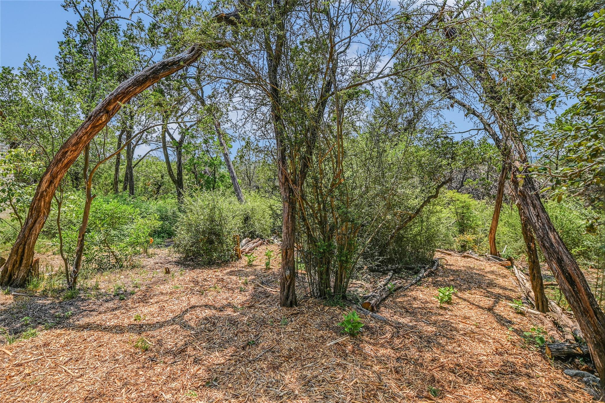 466 Spiller LN