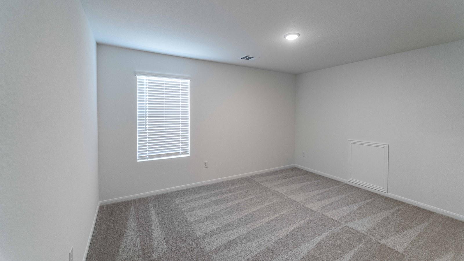 13621 Endless Narrow LN