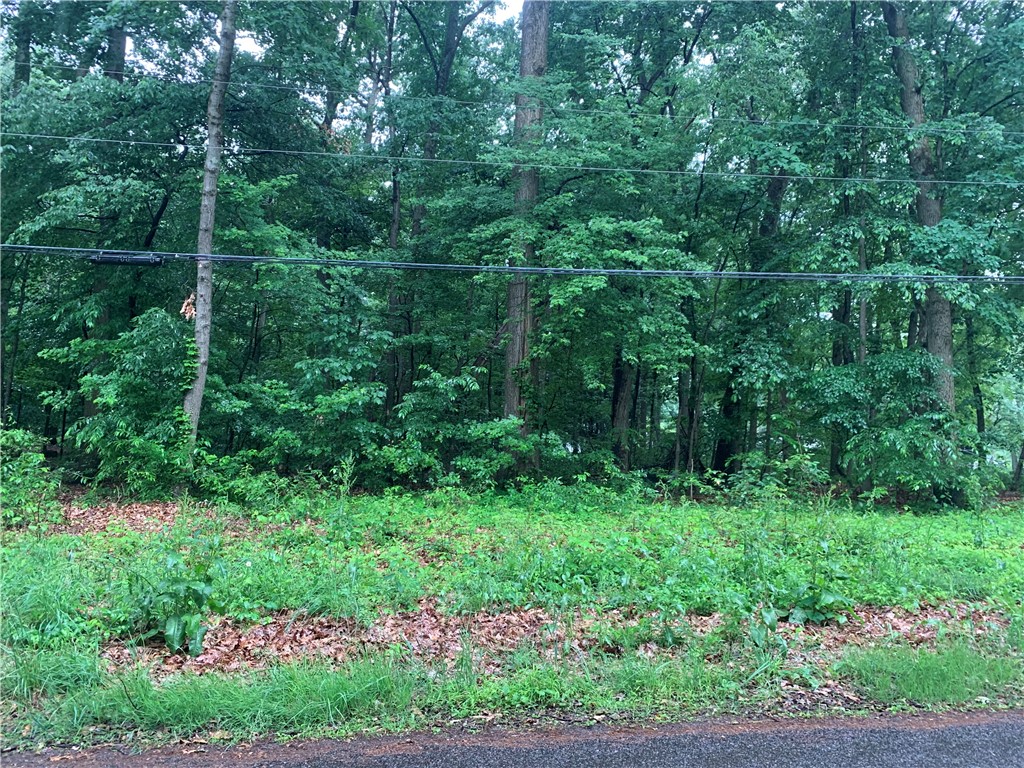 Lot 37 Rt 68