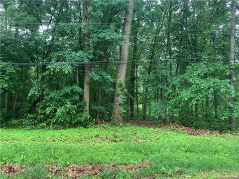 Photo of Lot 37 Rt 68, Renfrew, PA 16053 (MLS # 1759210)