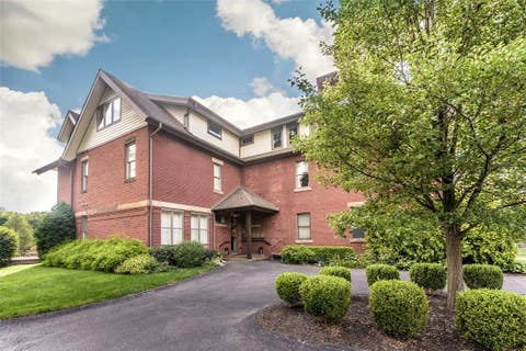 Photo for 305 Elwick St 3