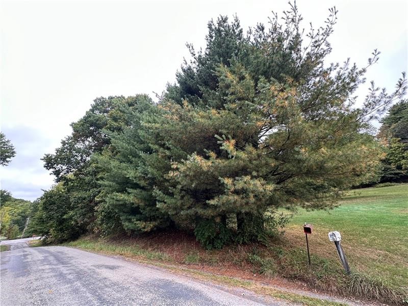 123 Saint Paul Road Rd, Plumcreek Twp, Kentucky image 21
