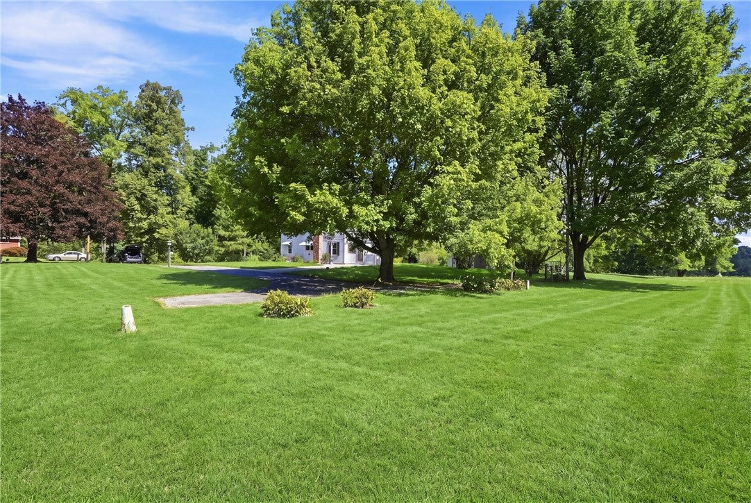 1229 Mohawk School Rd
