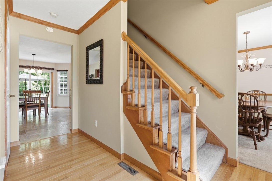 115 Shady Hollow Dr