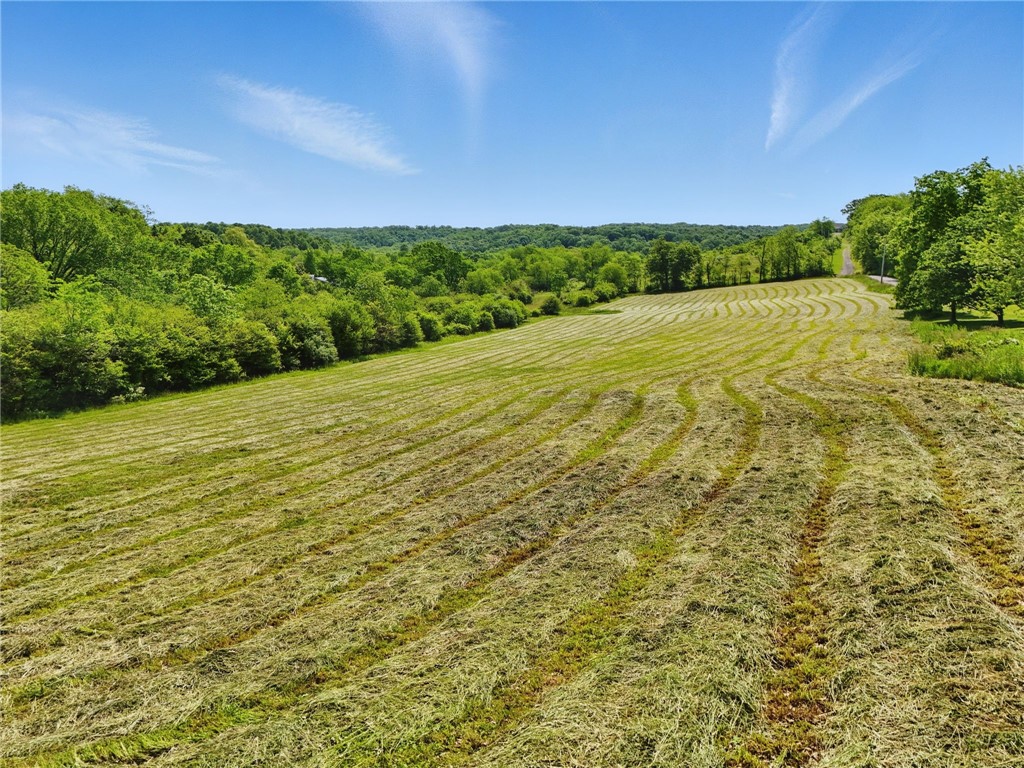 134 Kings Creek Road