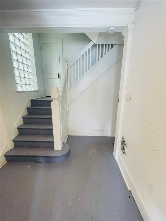 Squirrel Hill, Pennsylvania 15217, United States, 1 Bedroom Bedrooms, ,1 BathroomBathrooms,Residential,Active,13779