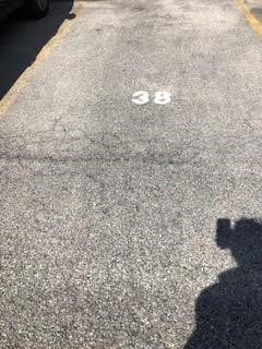 Oakland, Pennsylvania 15213, United States, 1 Bedroom Bedrooms, ,1 BathroomBathrooms,Residential,Active,124658