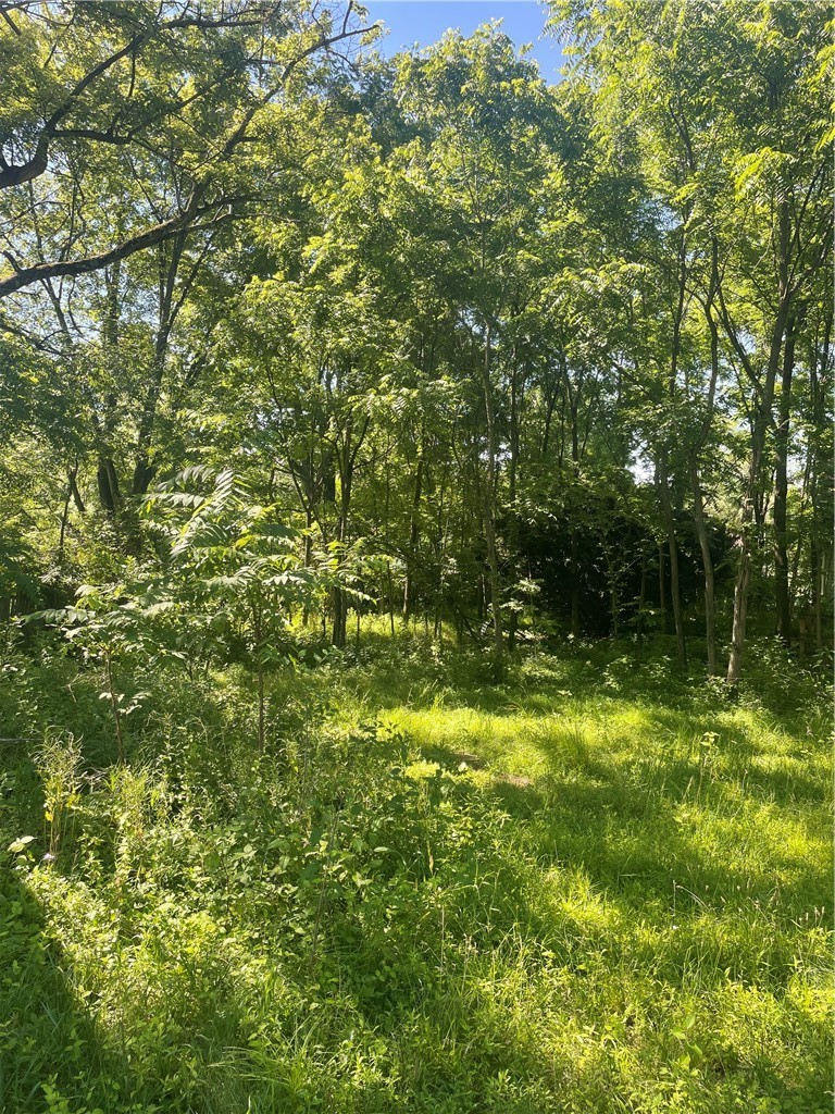 102 Watters Station Rd