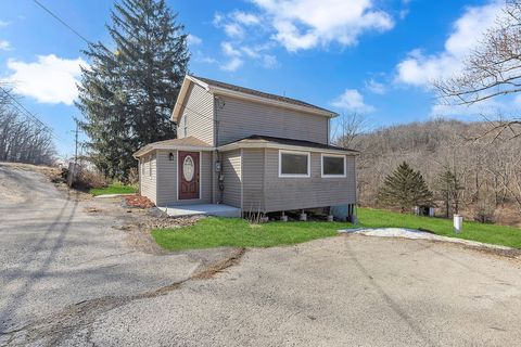 Photo of 589 Pine Run Rd, Freedom, PA 15042 (MLS # 1741794)