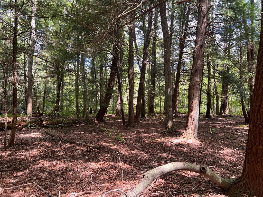 Brush Val/Buffington, Pennsylvania 15765, United States, 2 Bedrooms Bedrooms, ,1 BathroomBathrooms,Residential,Pending,201157