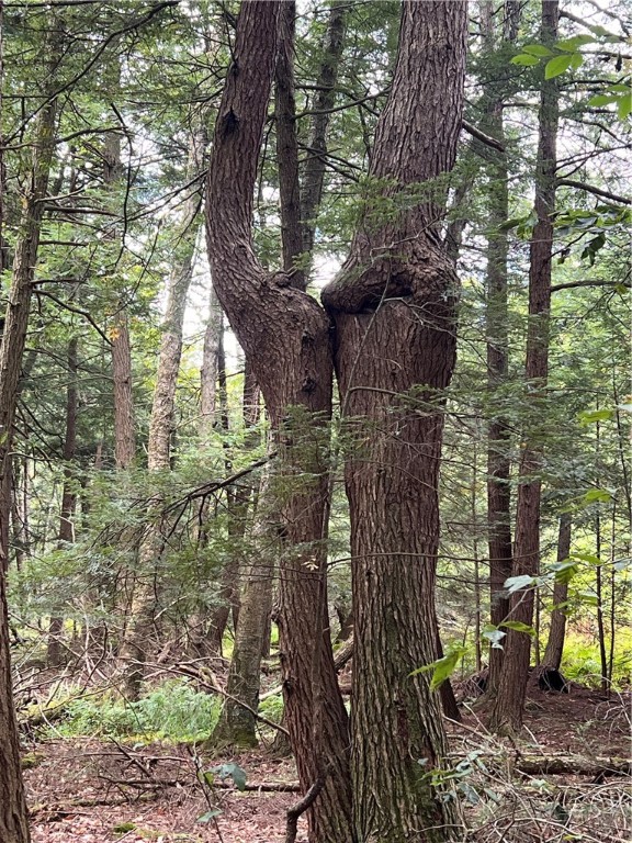 Brush Val/Buffington, Pennsylvania 15765, United States, 2 Bedrooms Bedrooms, ,1 BathroomBathrooms,Residential,Pending,201157