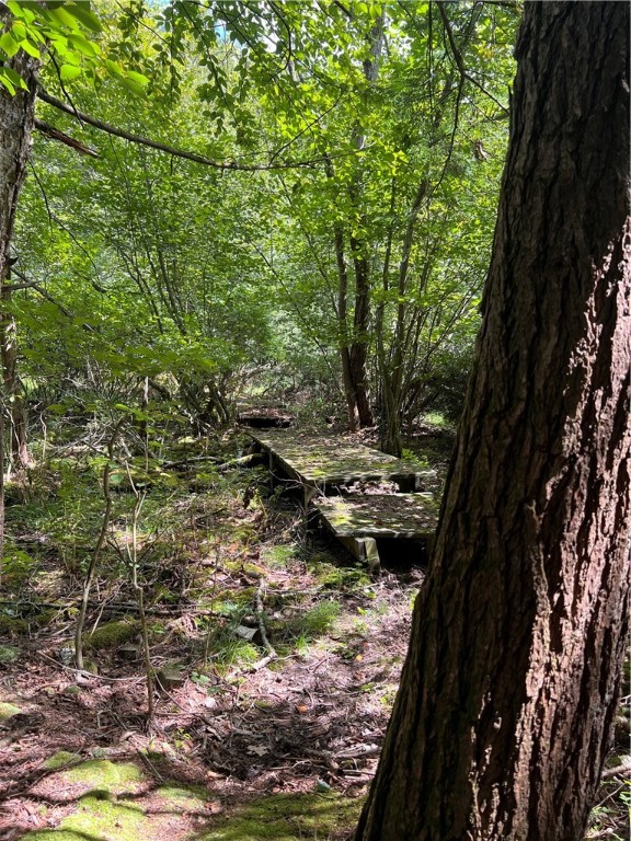 Brush Val/Buffington, Pennsylvania 15765, United States, 2 Bedrooms Bedrooms, ,1 BathroomBathrooms,Residential,Pending,201157