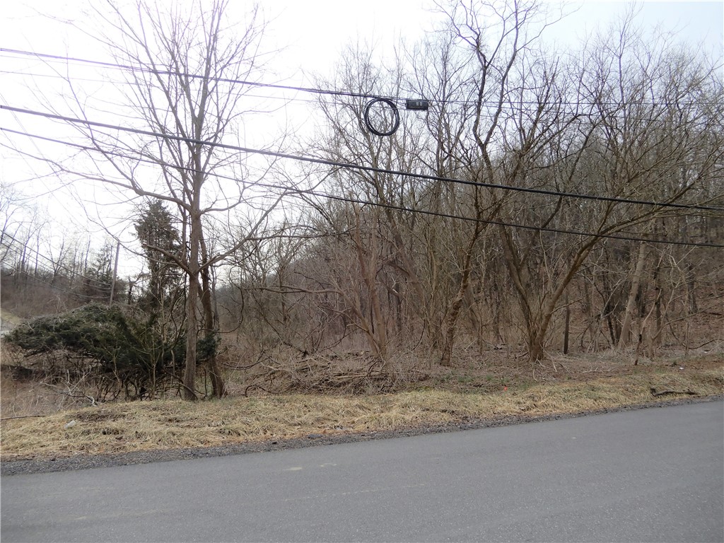 Photo 2 of 8 of Lot 1 Cecil Henderson Rd land