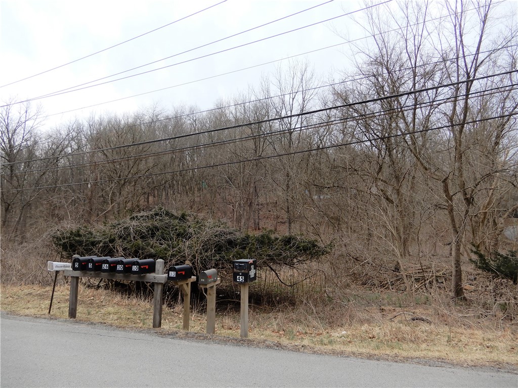 Photo 7 of 8 of Lot 1 Cecil Henderson Rd land