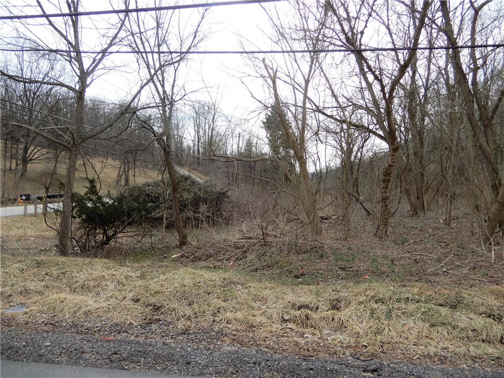 Photo 4 of 8 of Lot 1 Cecil Henderson Rd land