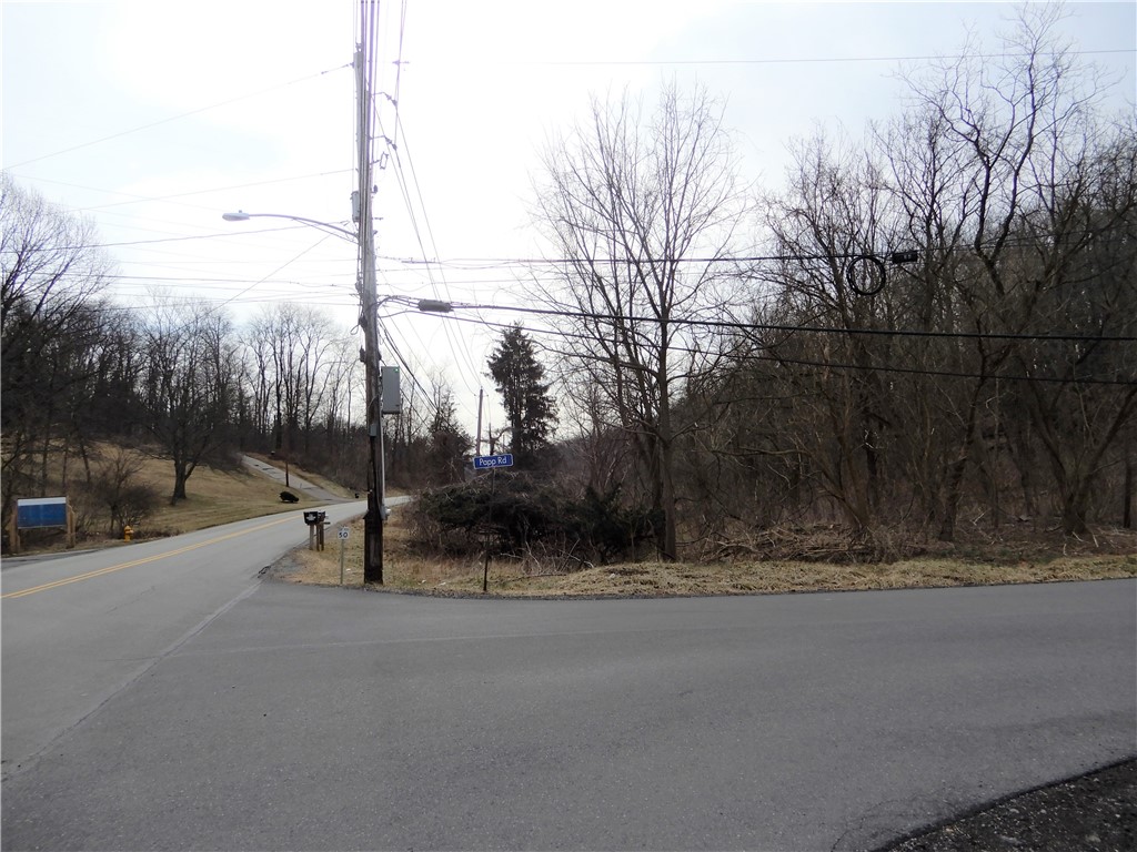 Photo 1 of 8 of Lot 1 Cecil Henderson Rd land