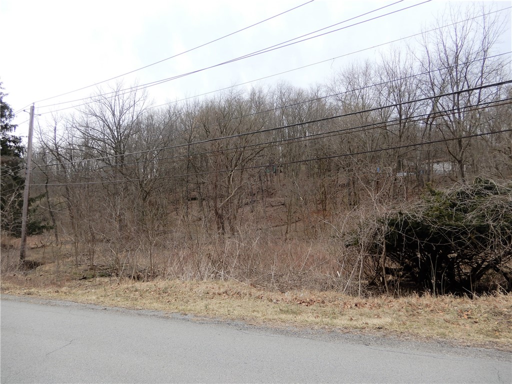 Photo 8 of 8 of Lot 1 Cecil Henderson Rd land