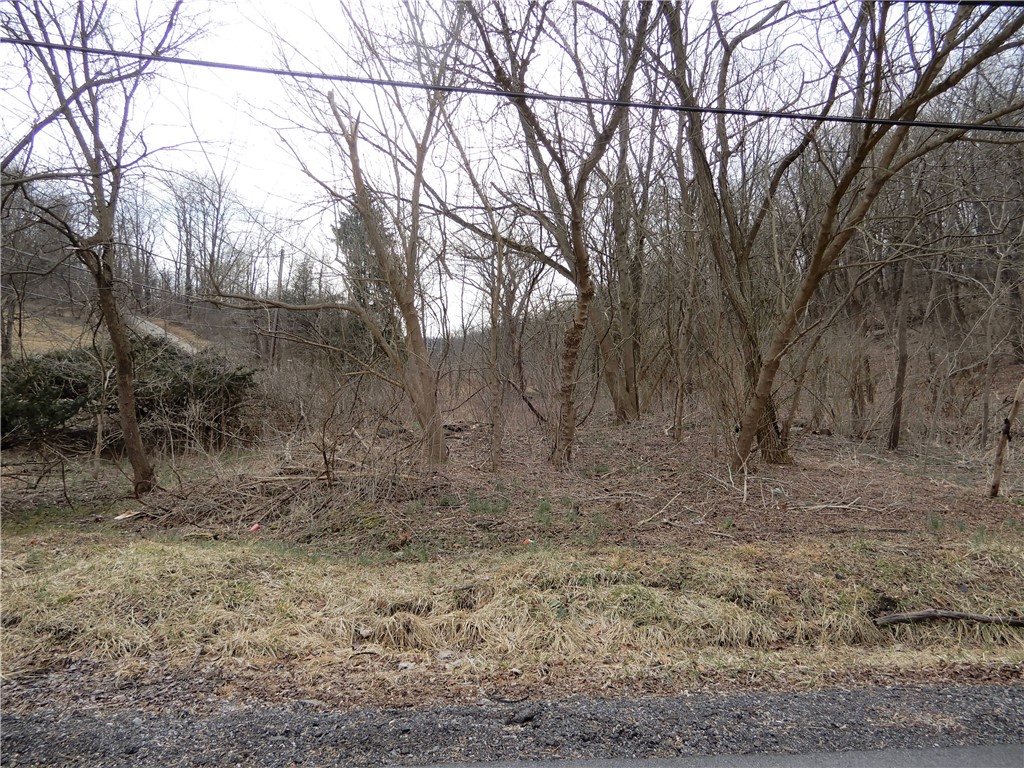 Photo 6 of 8 of Lot 1 Cecil Henderson Rd land