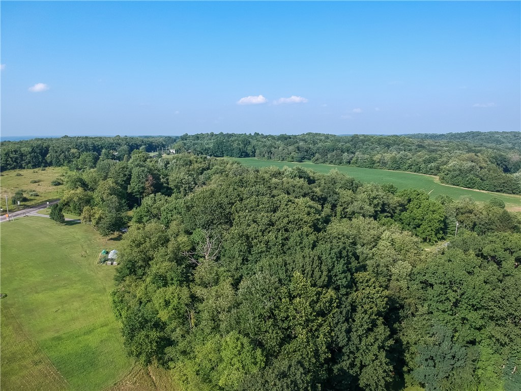Photo 1 of 7 of 000 Volant Leesburg Rd land