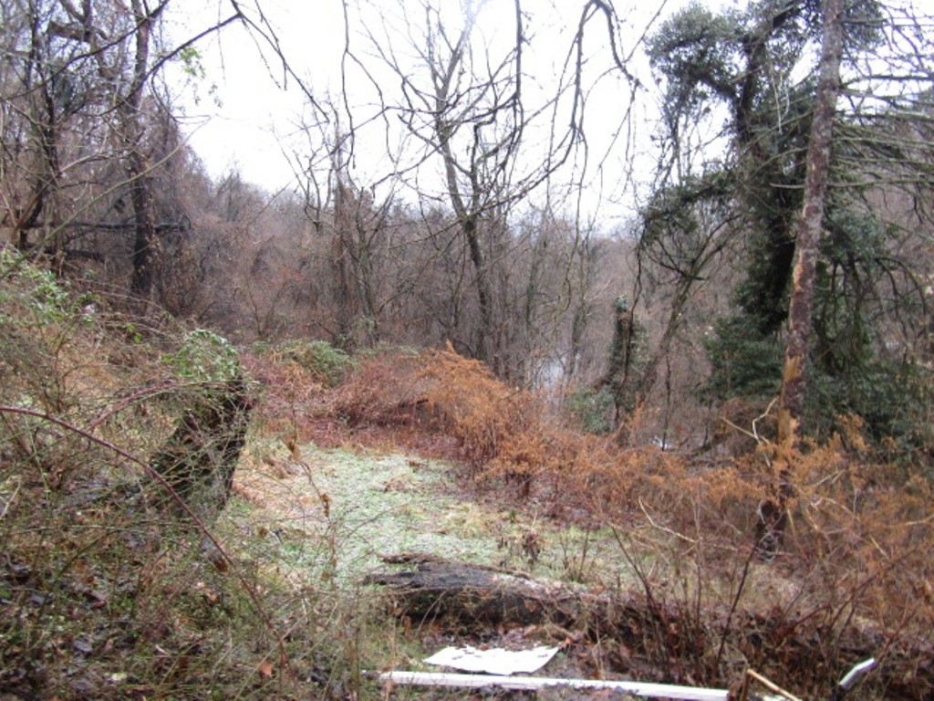 1633 E Cherryhill St